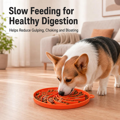 Silicone Slow Feeder Bowl - Anti-Gulp Maze Dish