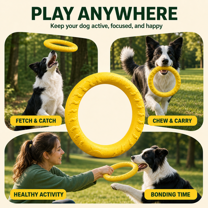 Natural Rubber Ring Dog Chew Toy