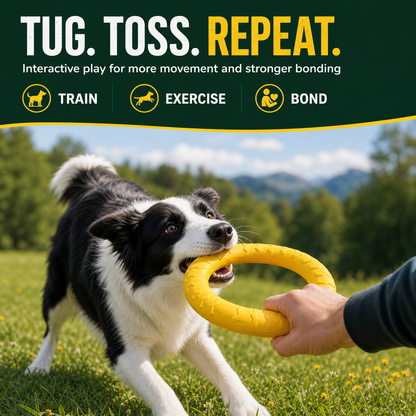 Natural Rubber Ring Dog Chew Toy