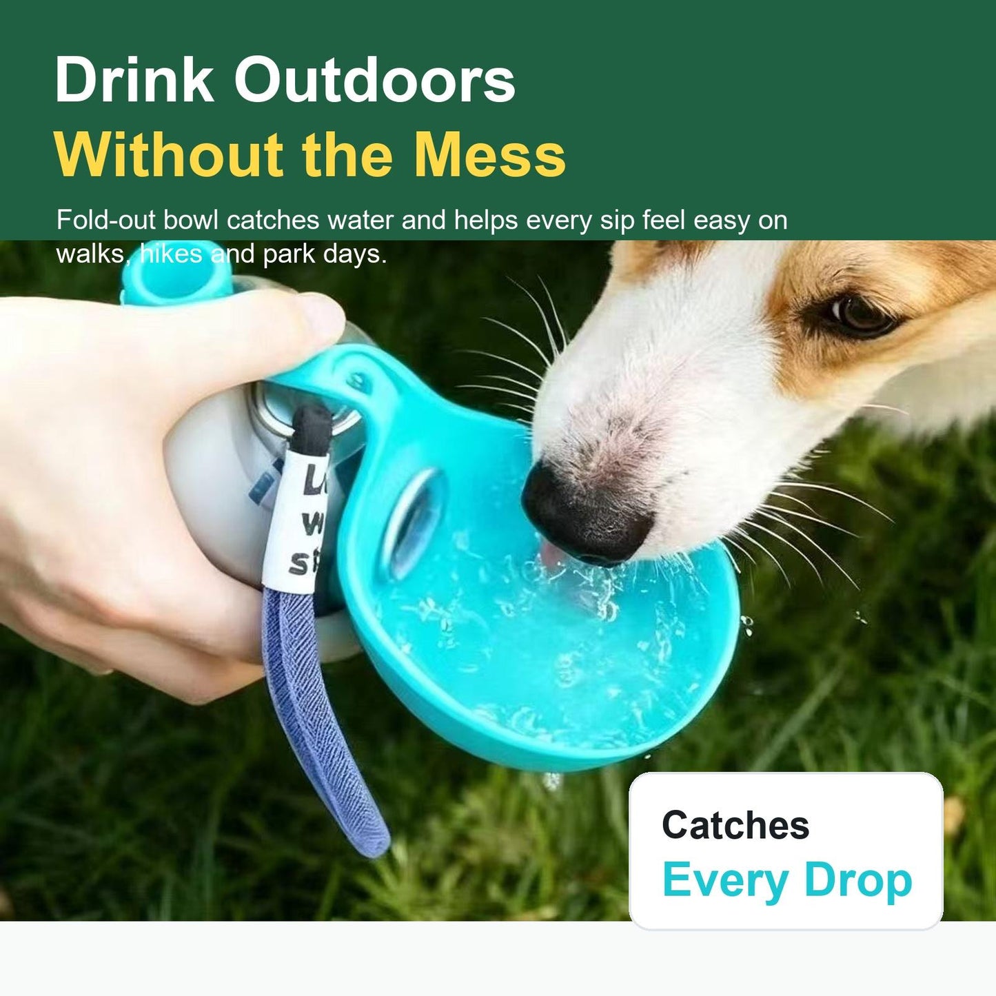 2-in-1 Pet Travel Water Bottle with Folding Bowl
